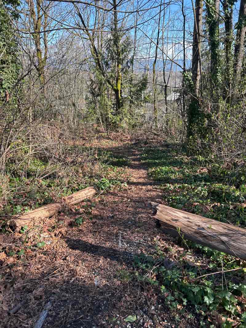 walking near me in Keets Park in spring