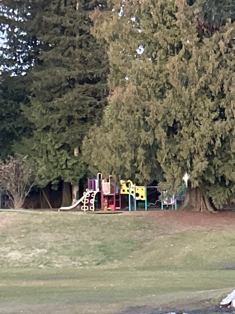 walking near me in Bonson Park in spring