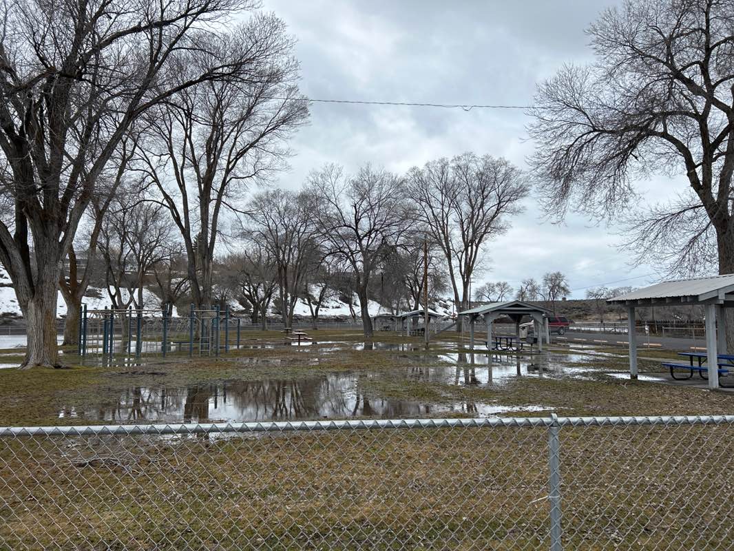 walking near me in Triangle Park in spring