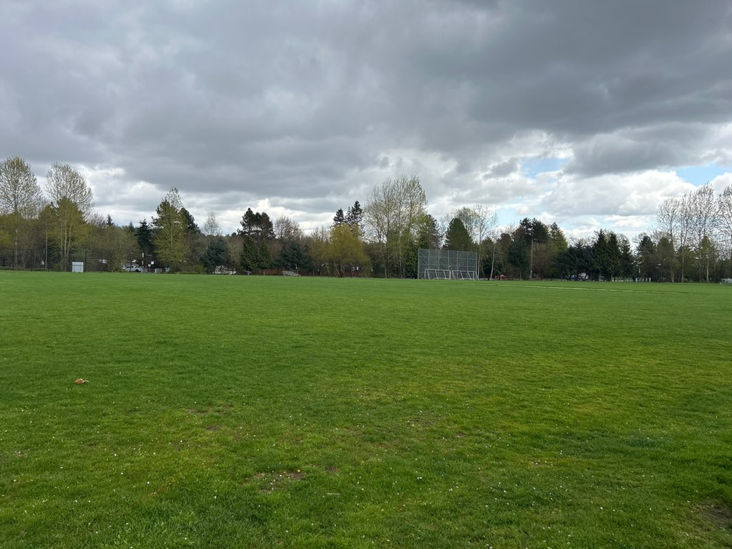 walking near me in Mackin Park in spring