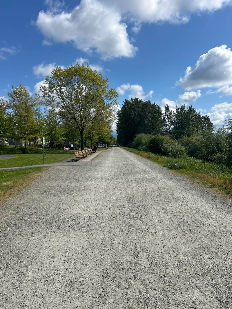walking near me in Peace Park in spring