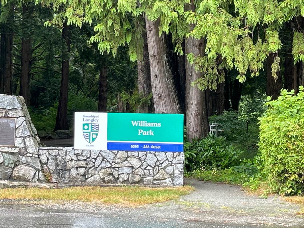 walking near me in Williams Park in summer