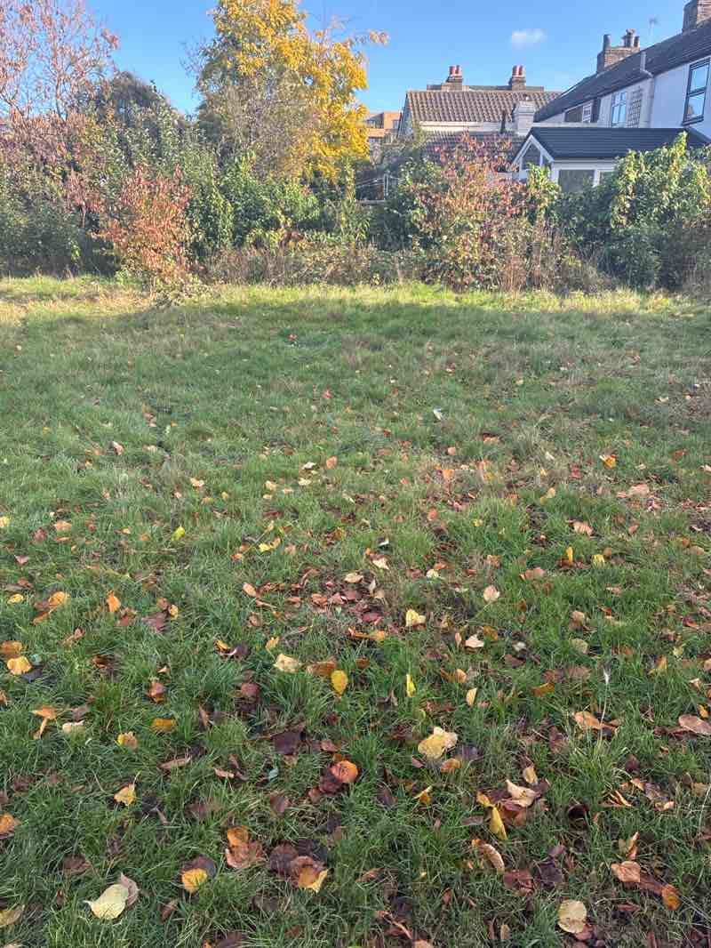 walking near me in Kingston Road Recreation Ground in autumn