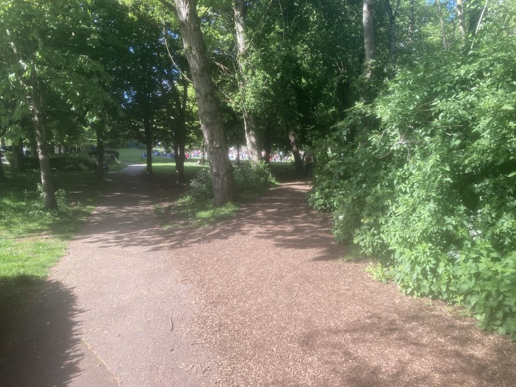 walking near me in Wilton Lands in spring
