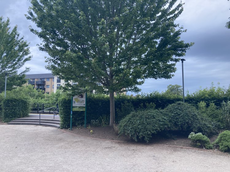 walking near me in Goodlands Gardens in summer