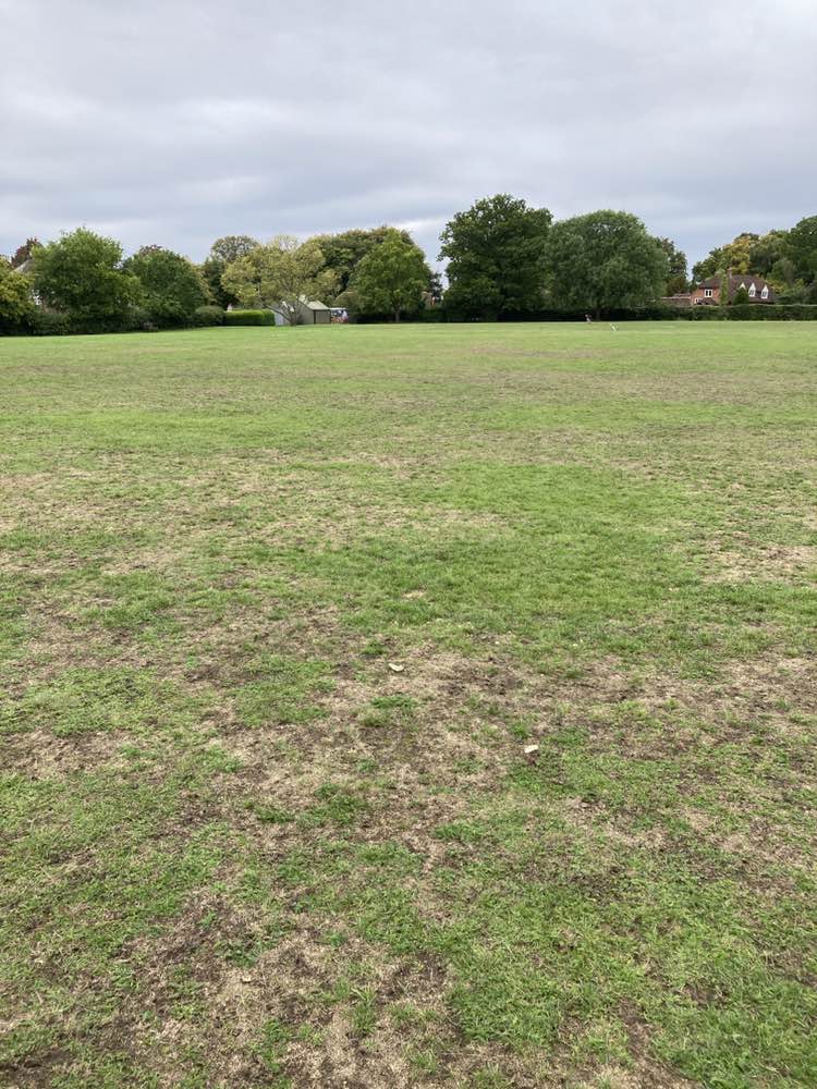 walking near me in Cold Ash Recreation Ground in autumn