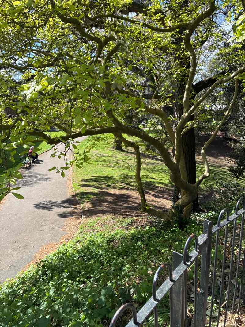 walking near me in Rougemont Gardens in spring