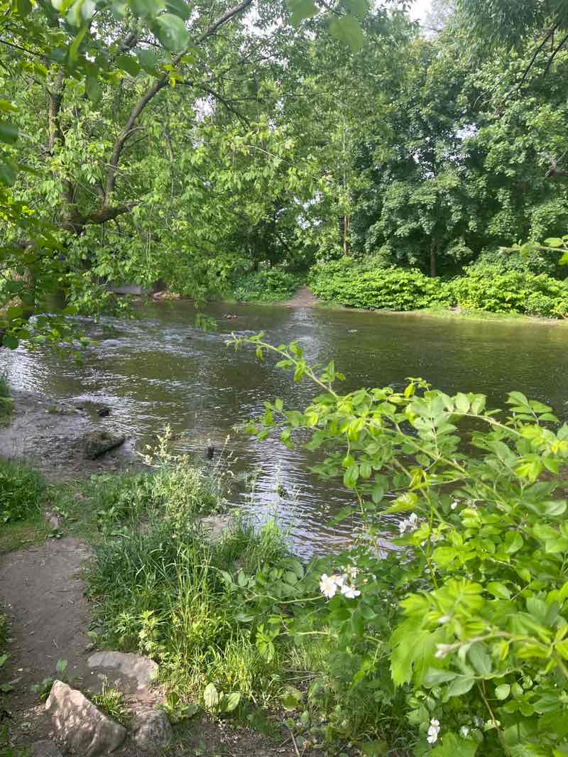 walking near me in Amherst State Park in summer