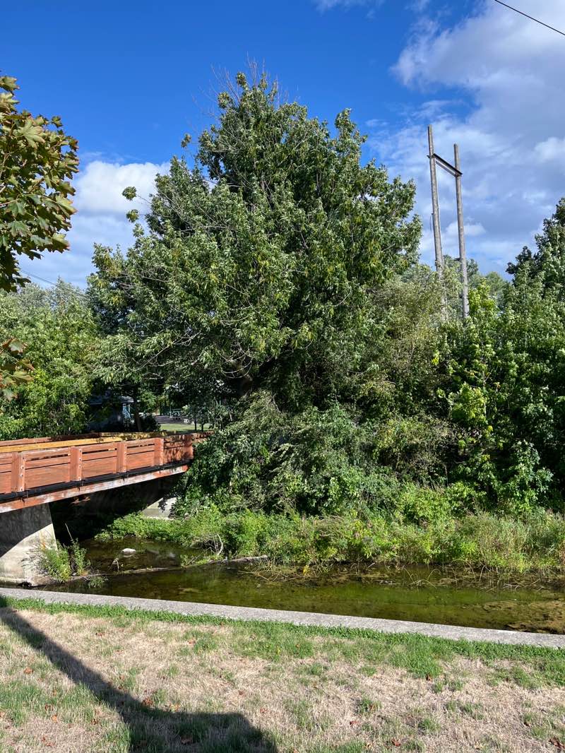 walking near me in Island Park in autumn