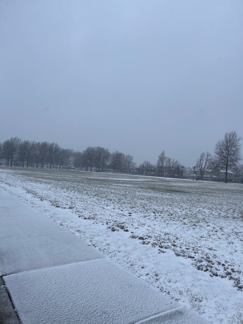walking near me in Mang Park in winter