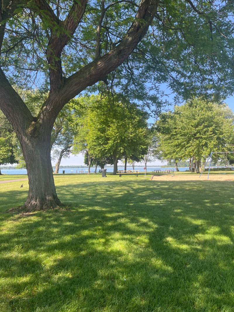 walking near me in Aqua Lane Park in summer