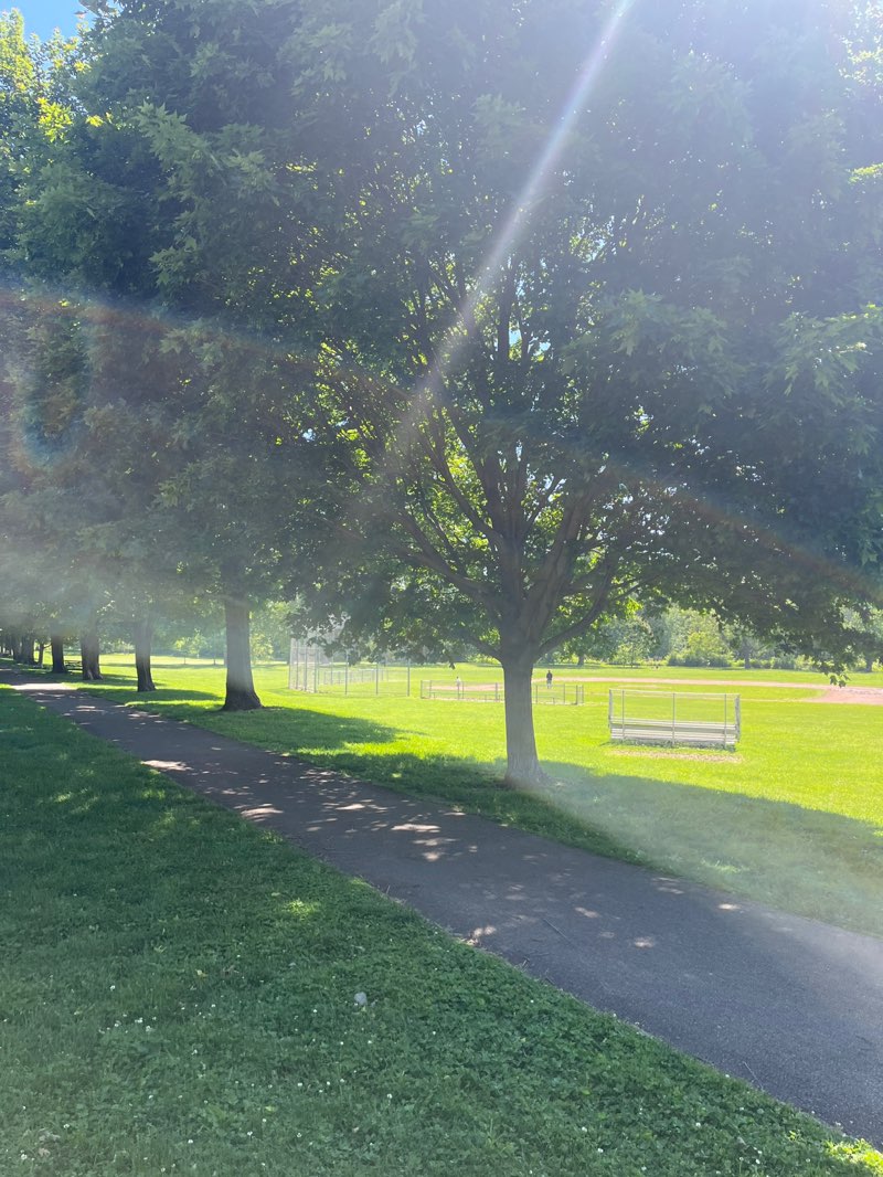walking near me in Cazenovia Park in summer