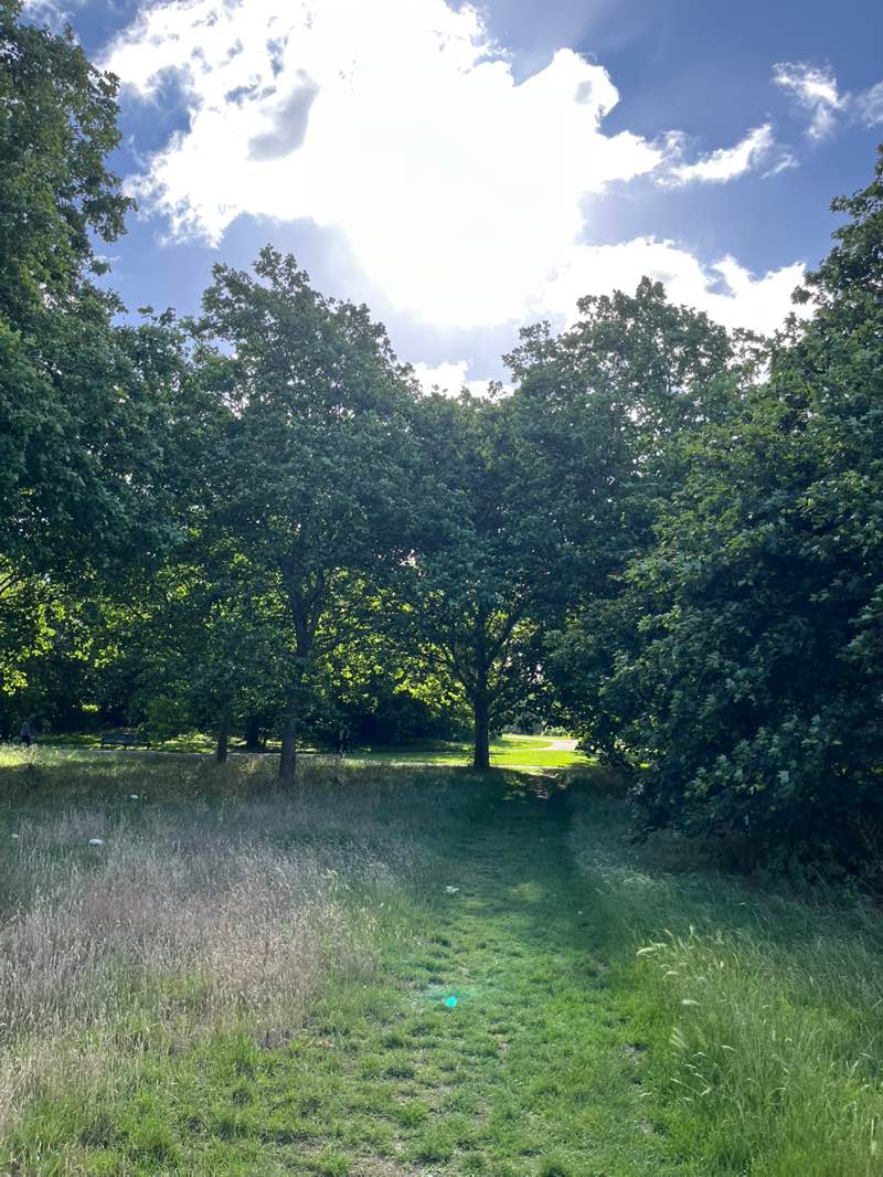 walking near me in The Regent's Park in summer