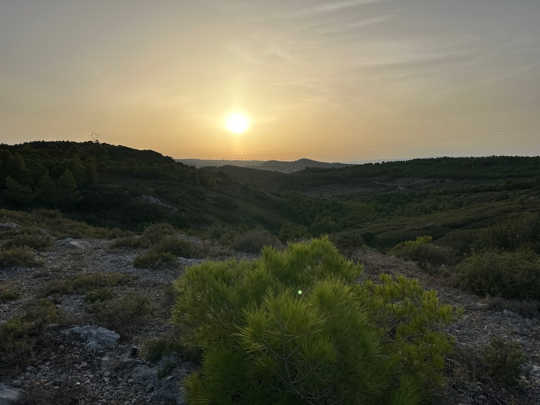 walking near me in Parc de la Campane in winter
