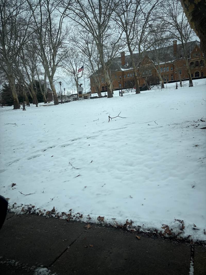 walking near me in John F. Kennedy Park in winter