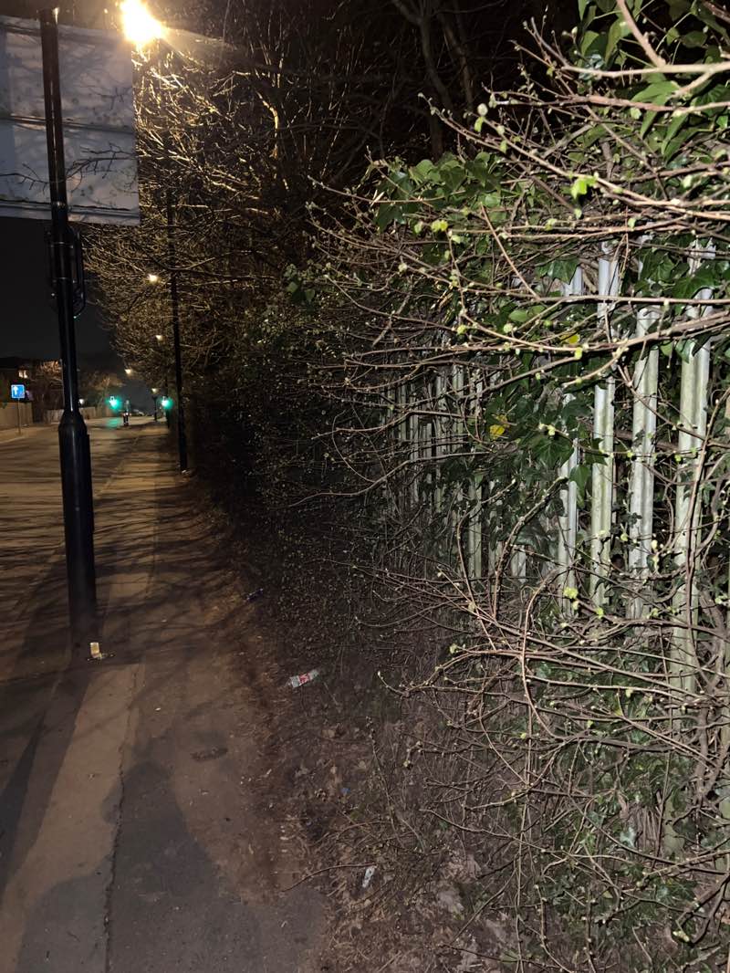 walking near me in Field park  in spring