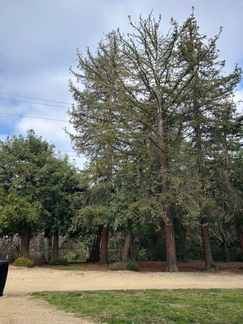 walking near me in Homeridge Park in winter