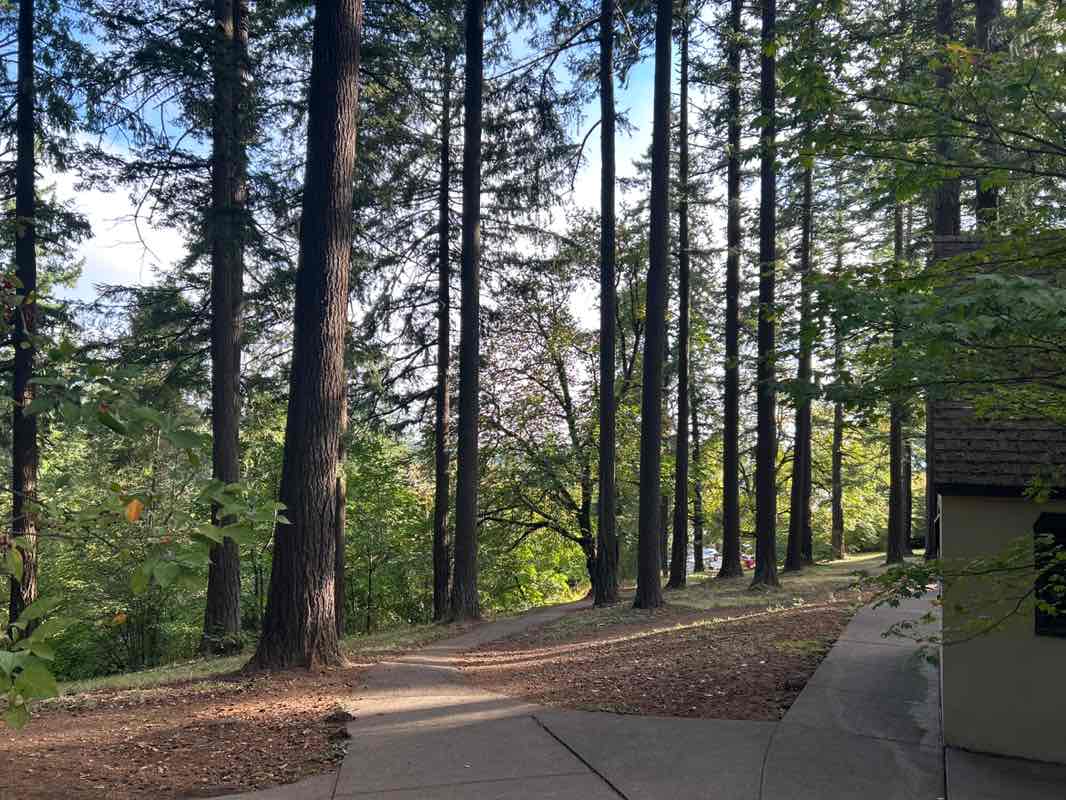 walking near me in Mount Tabor Park in autumn