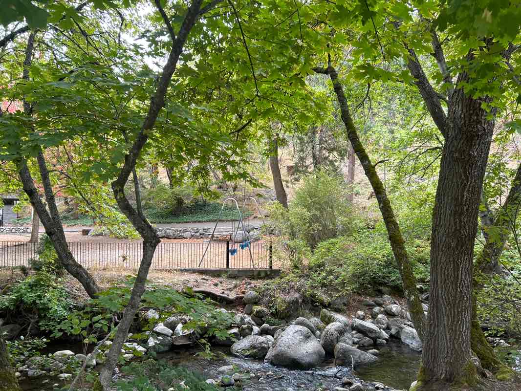 walking near me in Lithia Park in autumn