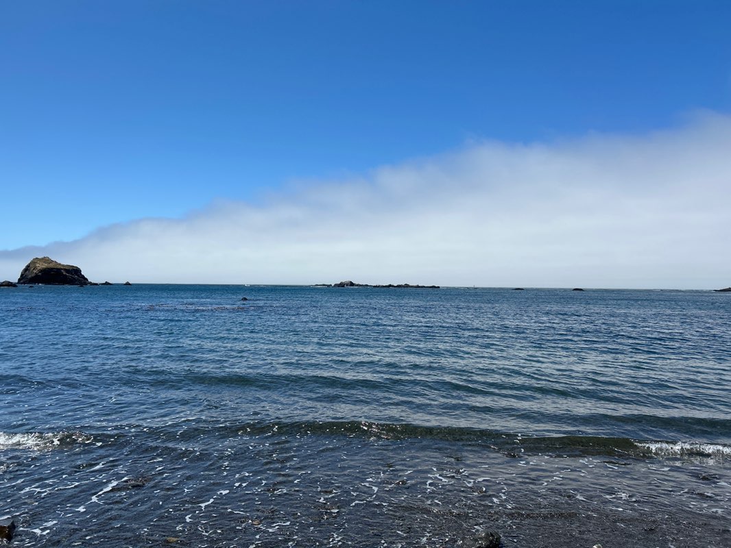walking near me in Van Damme State Park in summer