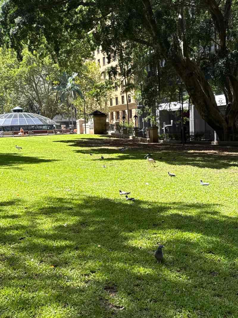 walking near me in Wynyard Park in autumn