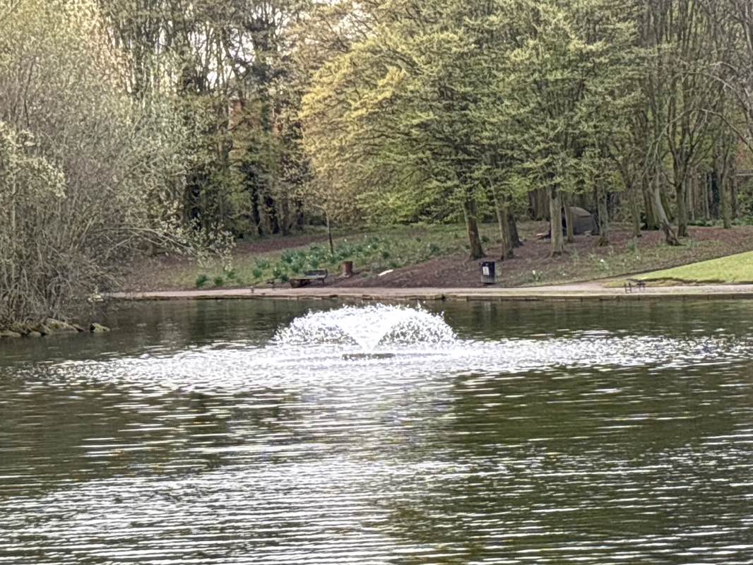 walking near me in Painswick Park in spring