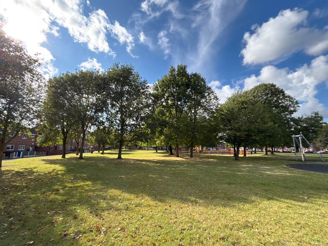 walking near me in St Peters Park in autumn