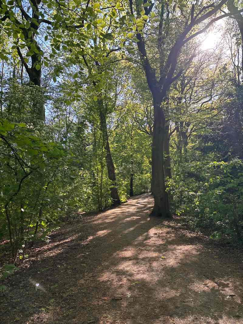 walking near me in Mary Ann Meadows in spring