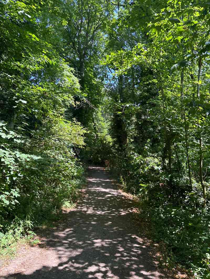 walking near me in Mary Ann Meadows in summer