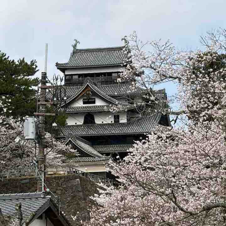 シロクロ post 1