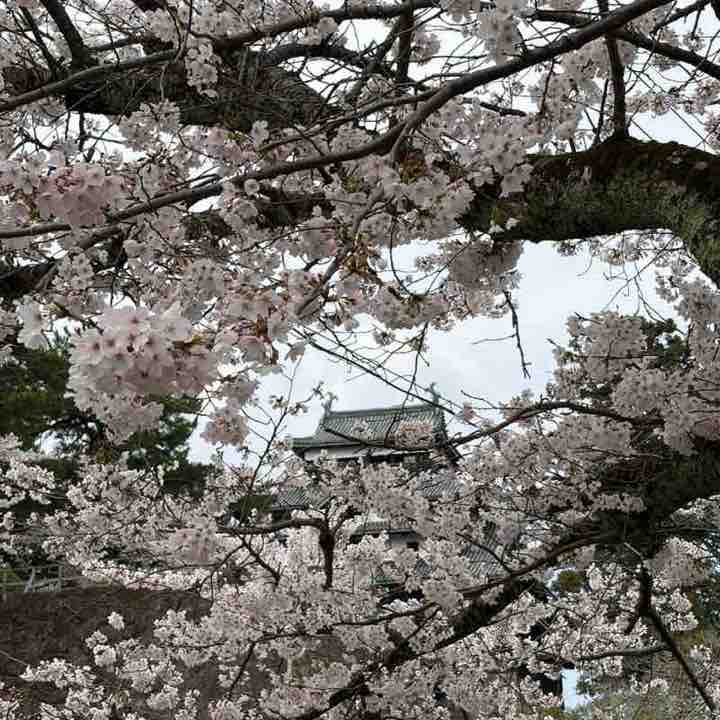 シロクロ post 3