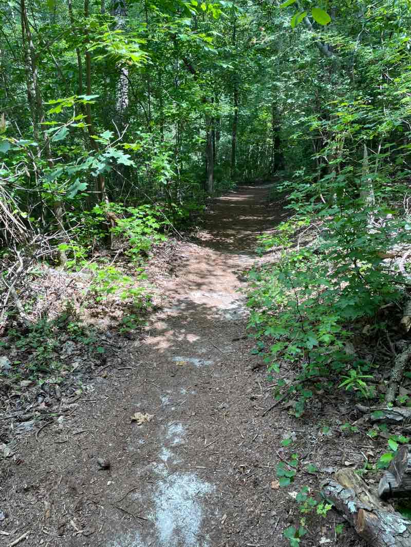 walking near me in Buford Dam Park in autumn