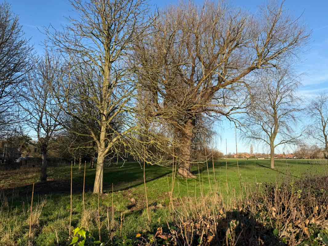 walking near me in Monk Stray in winter