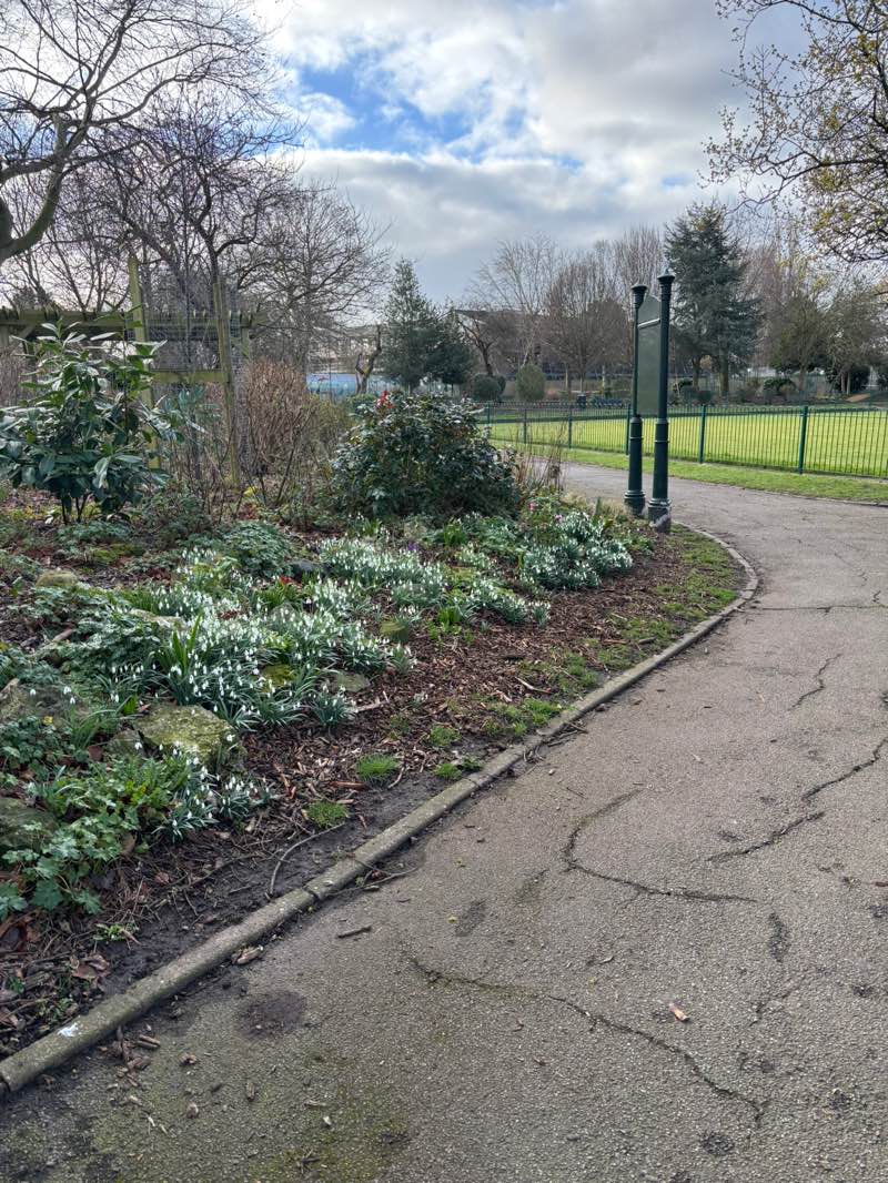 walking near me in Glen Garden in winter