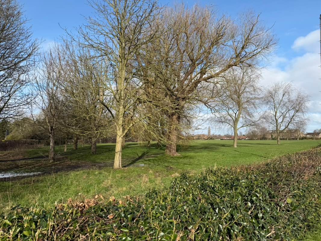 walking near me in Monk Stray in winter