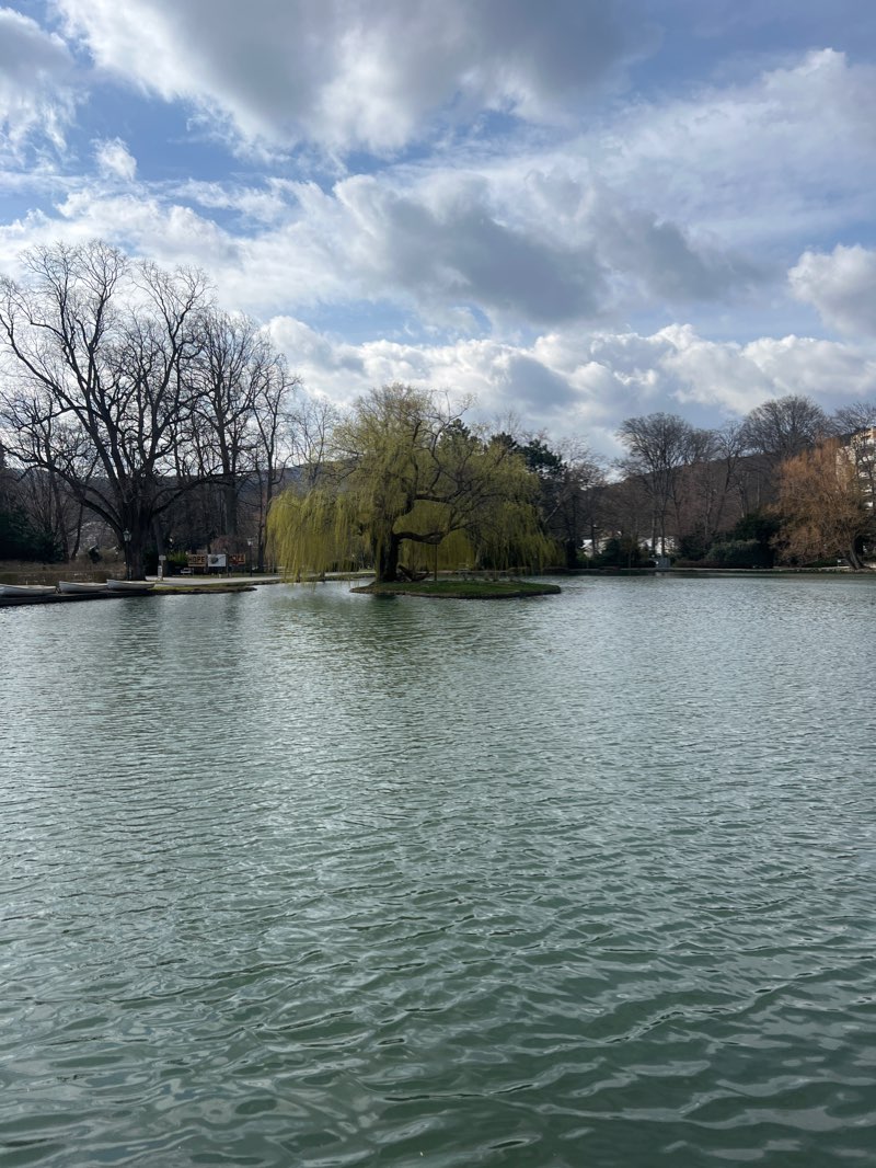walking near me in Doblhoffpark in winter