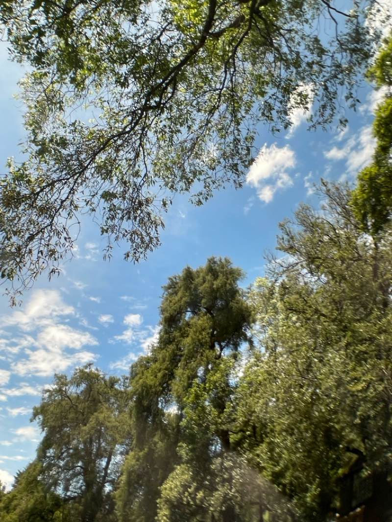 walking near me in Rubén Dario in summer