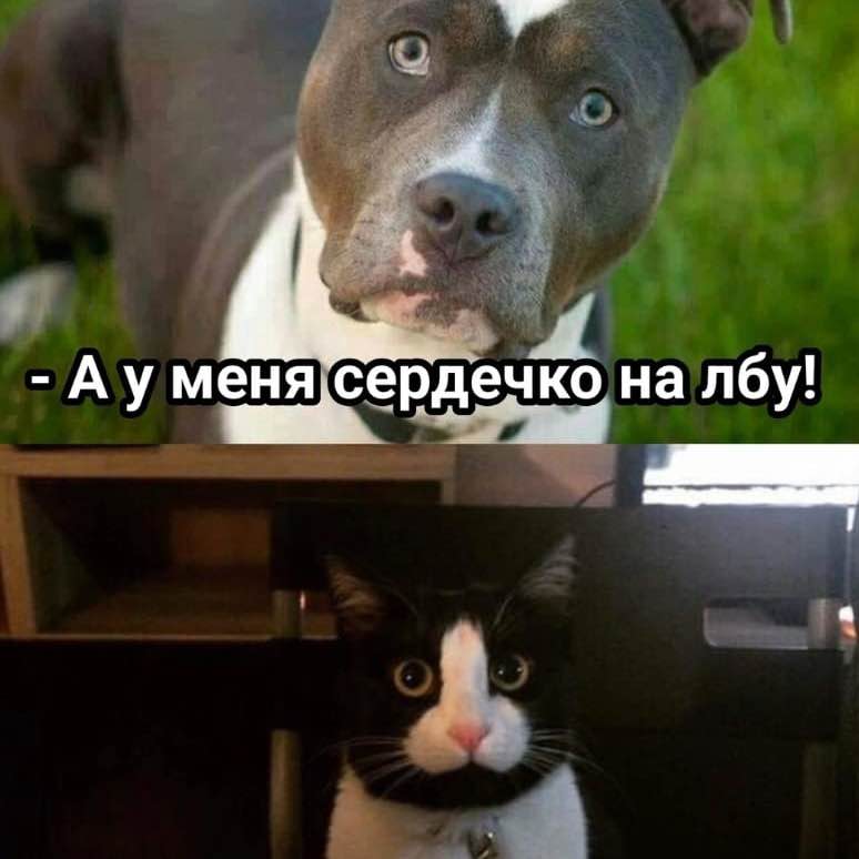 🌸SvitLana🌸 post 1