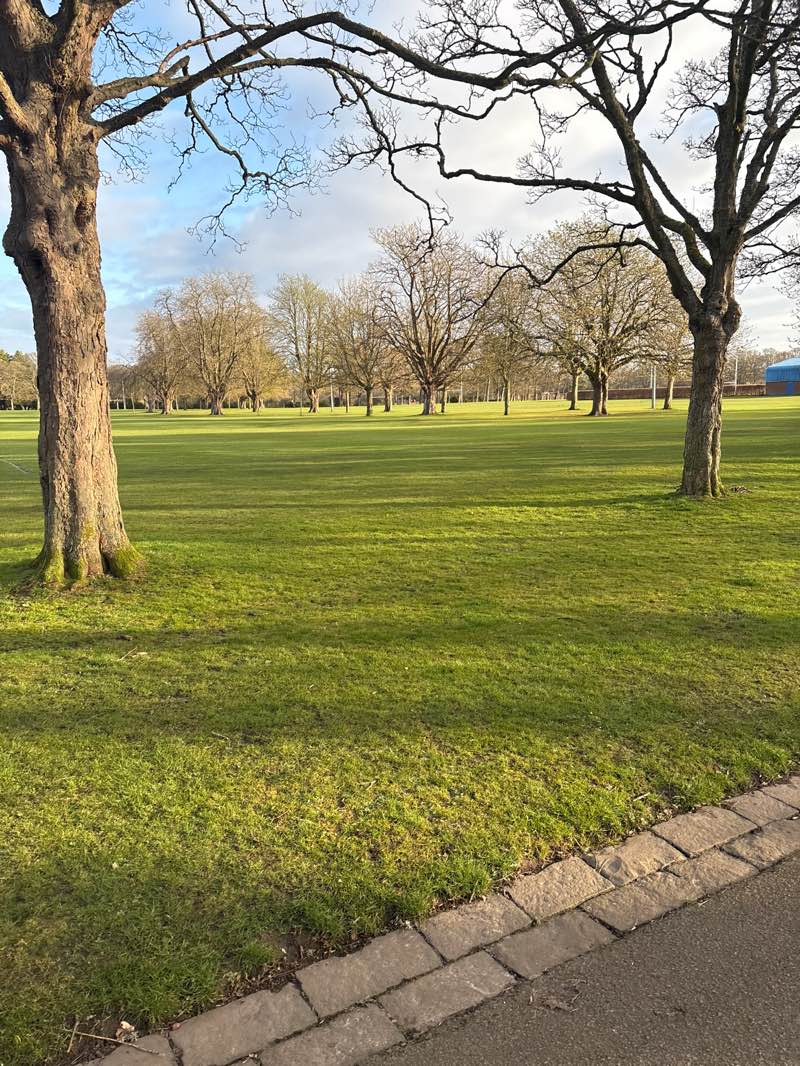 walking near me in Beveridge Park in spring