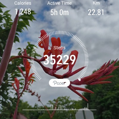 Azure🚶‍♂️👣🏃‍♂️ post 1