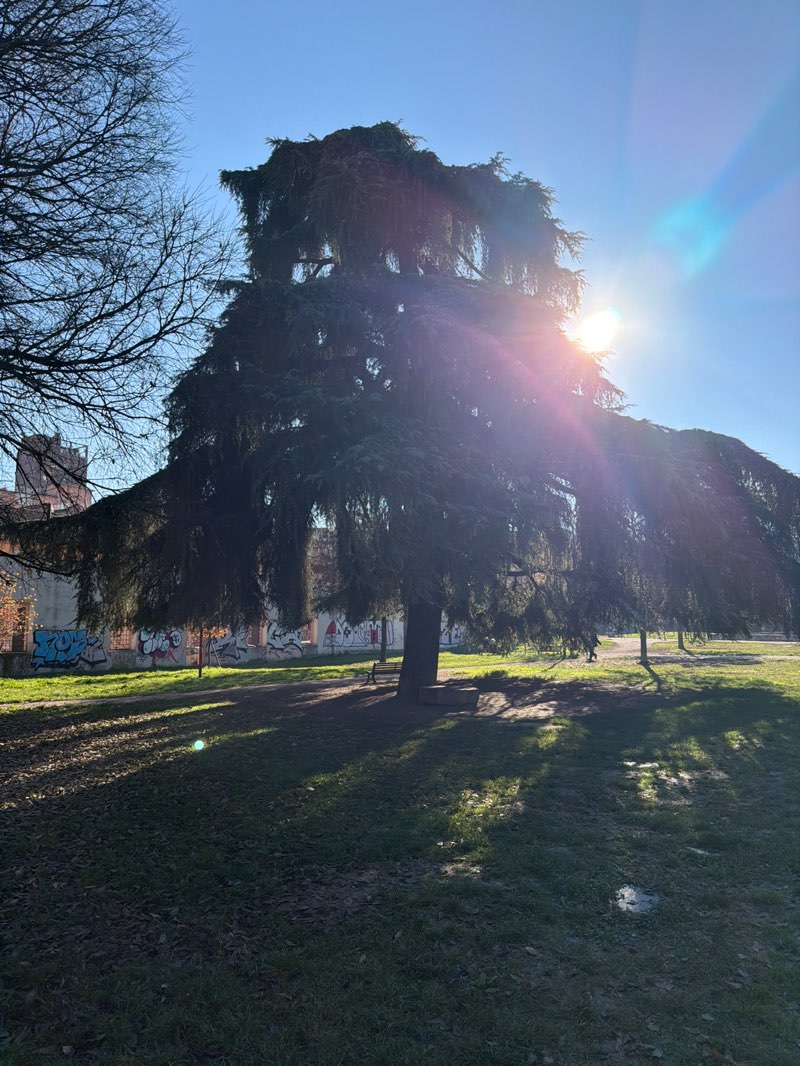 walking near me in Parco 11 Settembre 2001 in winter