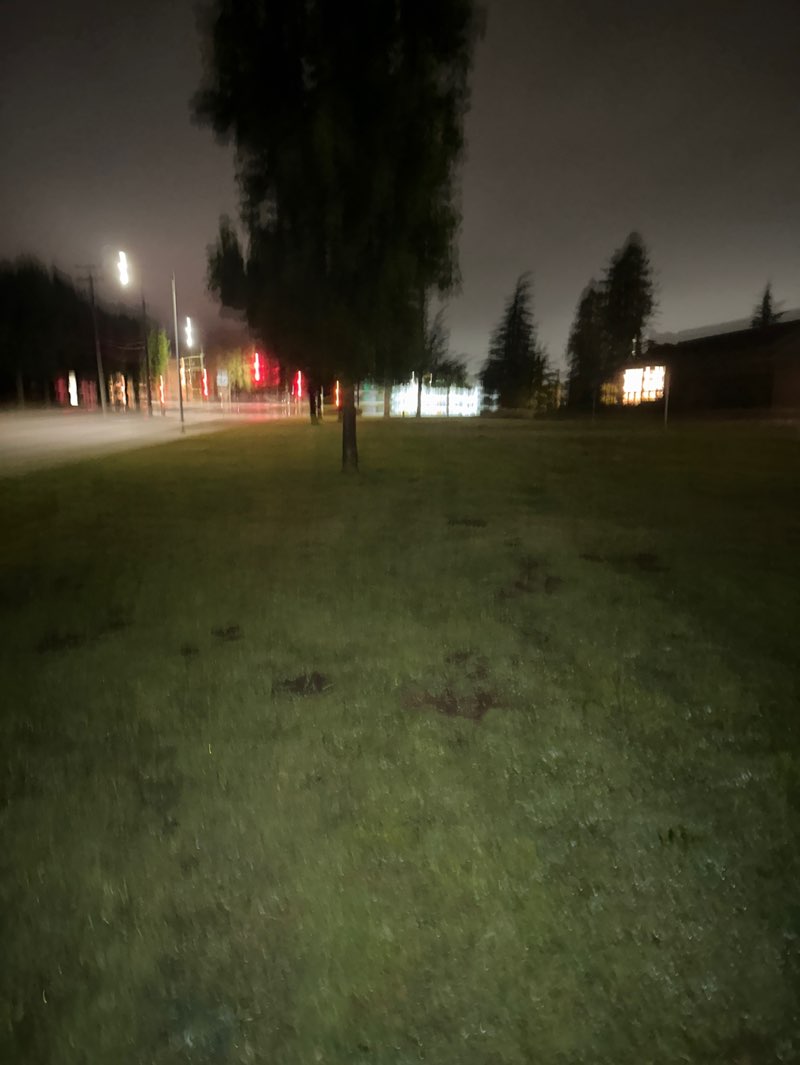 walking near me in Kenilworth Park in autumn