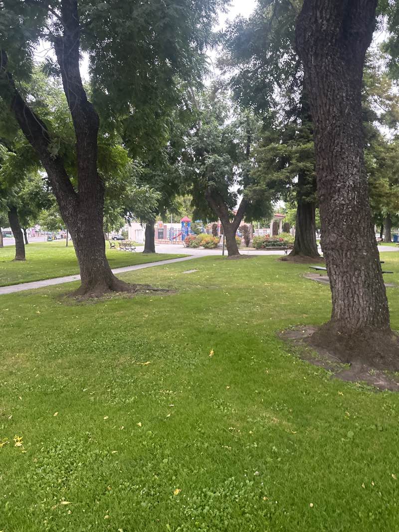 walking near me in Walnut Park in summer