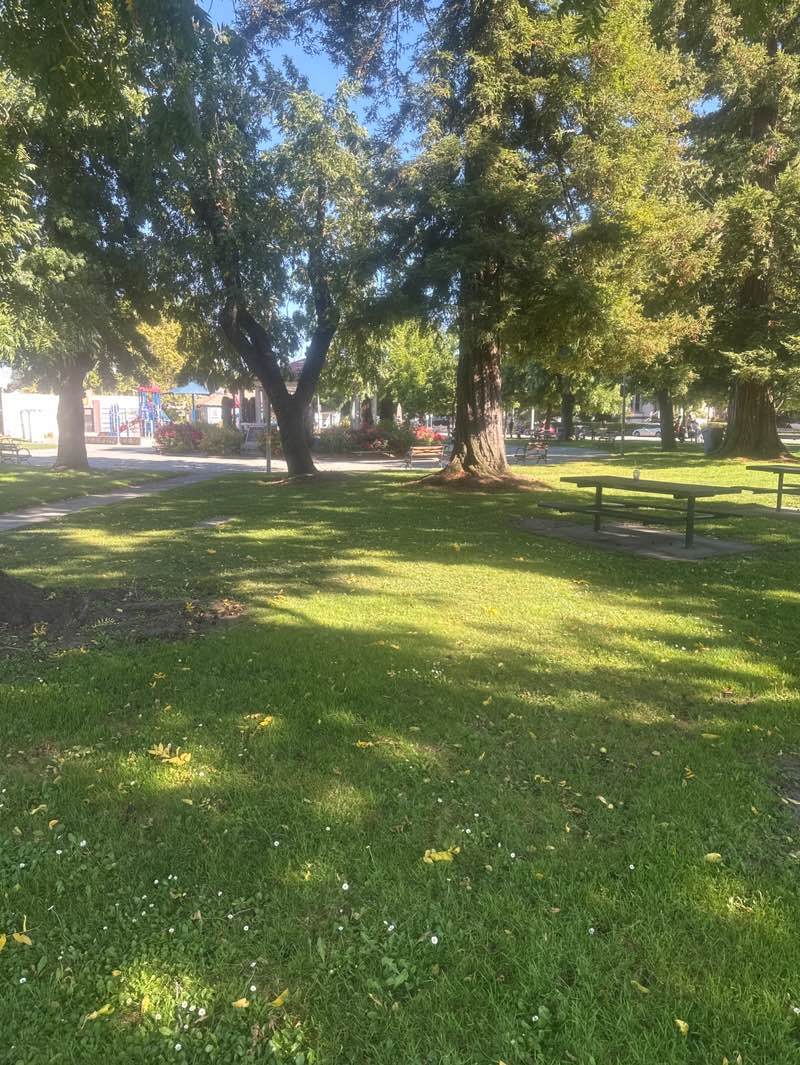 walking near me in Walnut Park in summer