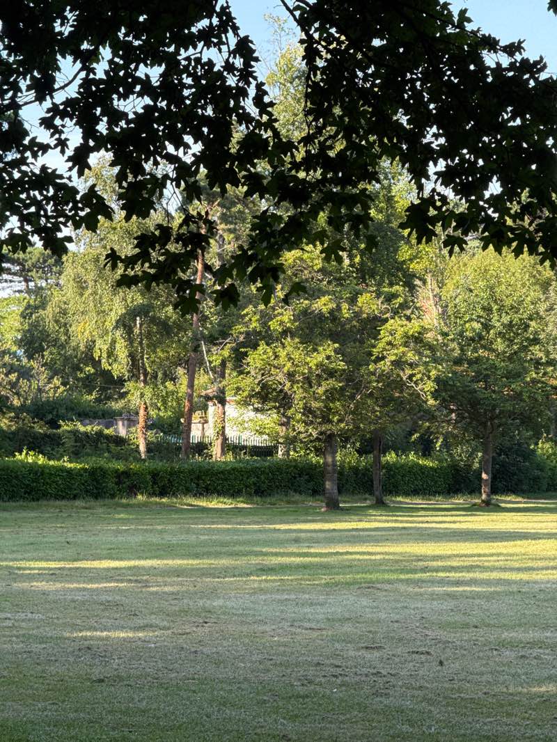 walking near me in Albert College Park in summer