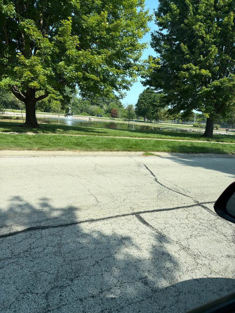 walking near me in Oakwood Park in summer