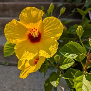 Marie 🪁🏝️👒