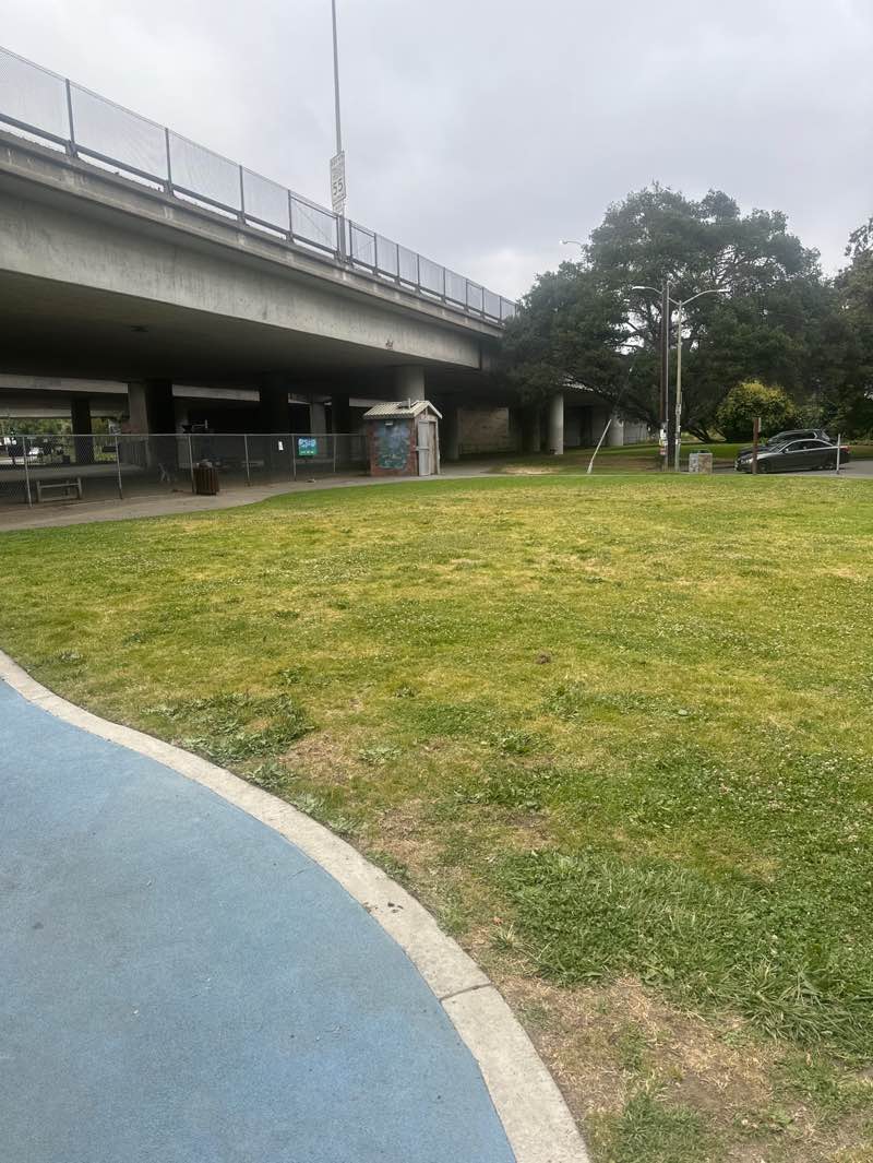 walking near me in Hardy Park & Dog Park in summer