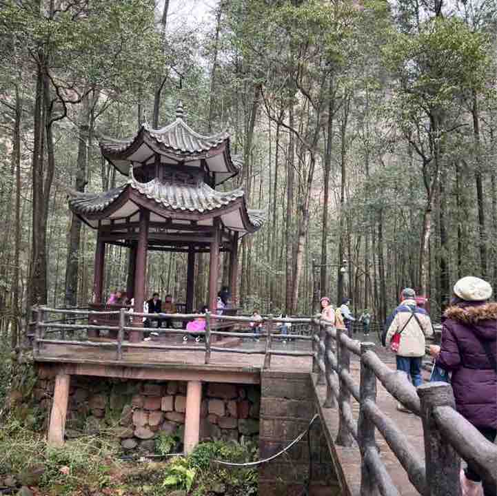 September Steps Challenge ᰔᩚoᰔᩚo🍀 post image