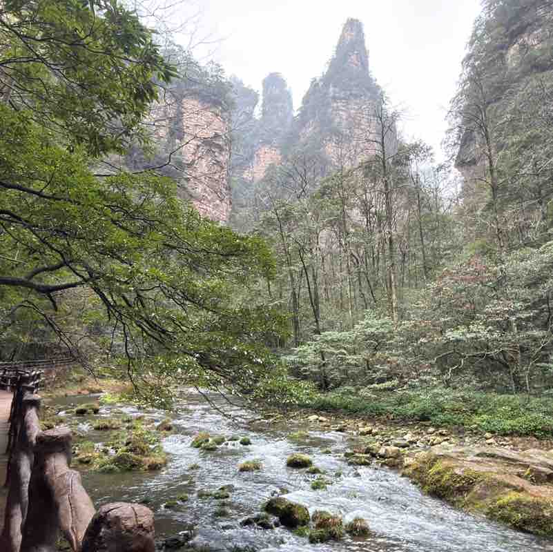 September Steps Challenge ᰔᩚoᰔᩚo🍀 post image